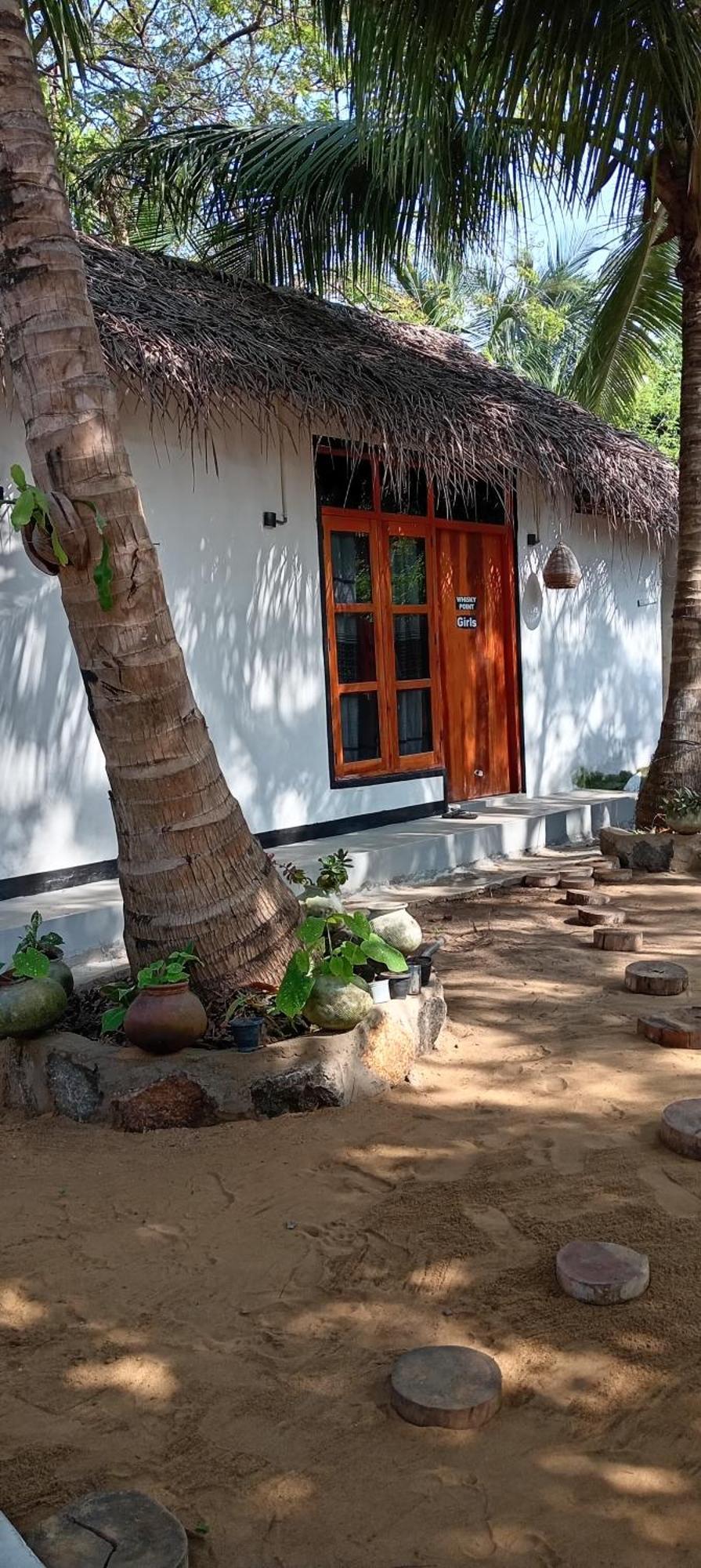 Surfing Lion Hostel Аругам Экстерьер фото