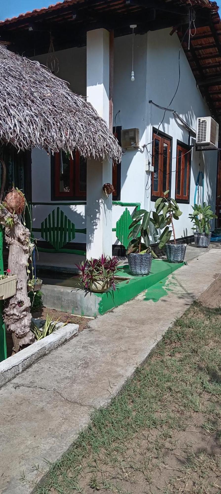 Surfing Lion Hostel Аругам Экстерьер фото