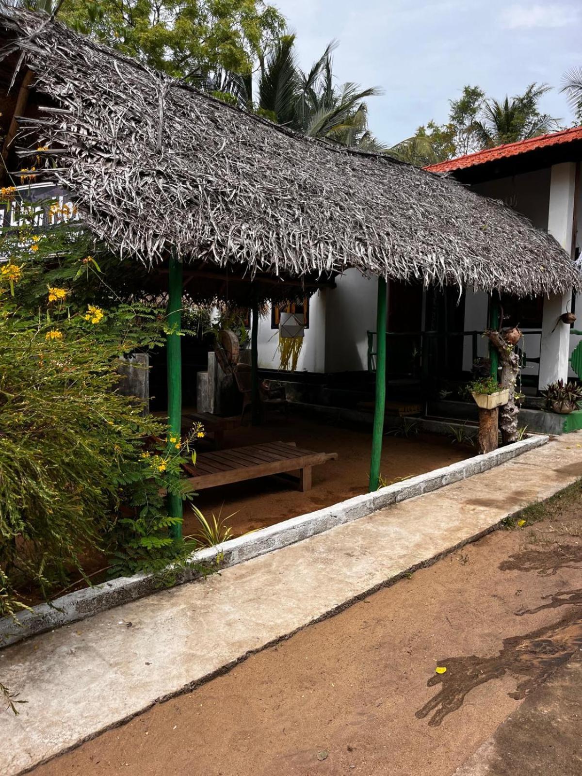 Surfing Lion Hostel Аругам Экстерьер фото