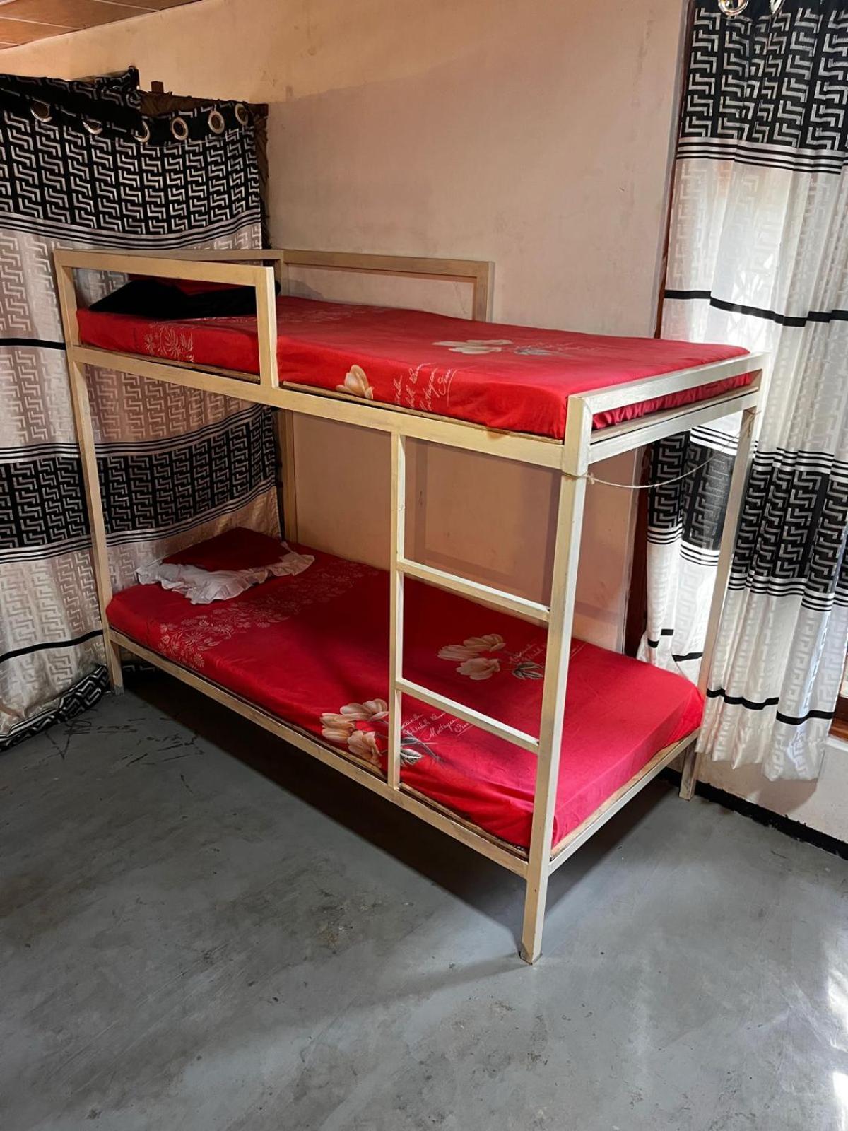 Surfing Lion Hostel Аругам Экстерьер фото