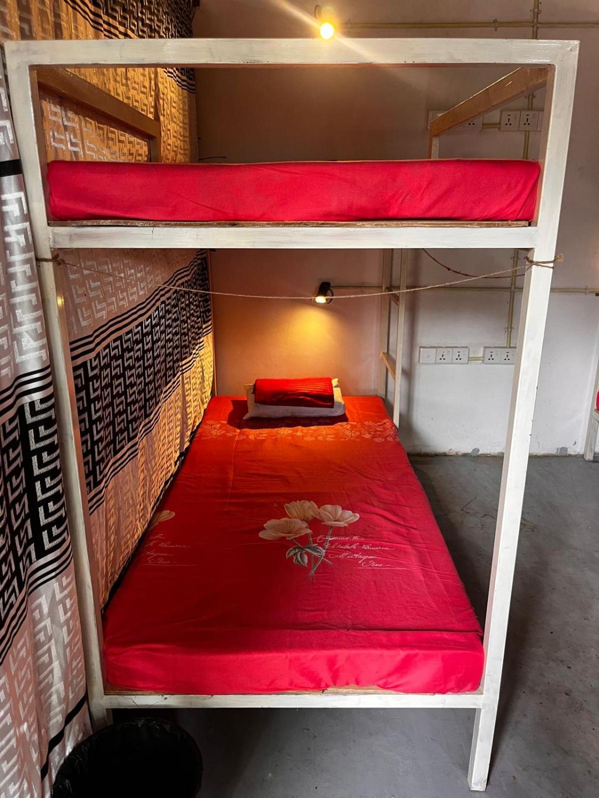 Surfing Lion Hostel Аругам Экстерьер фото