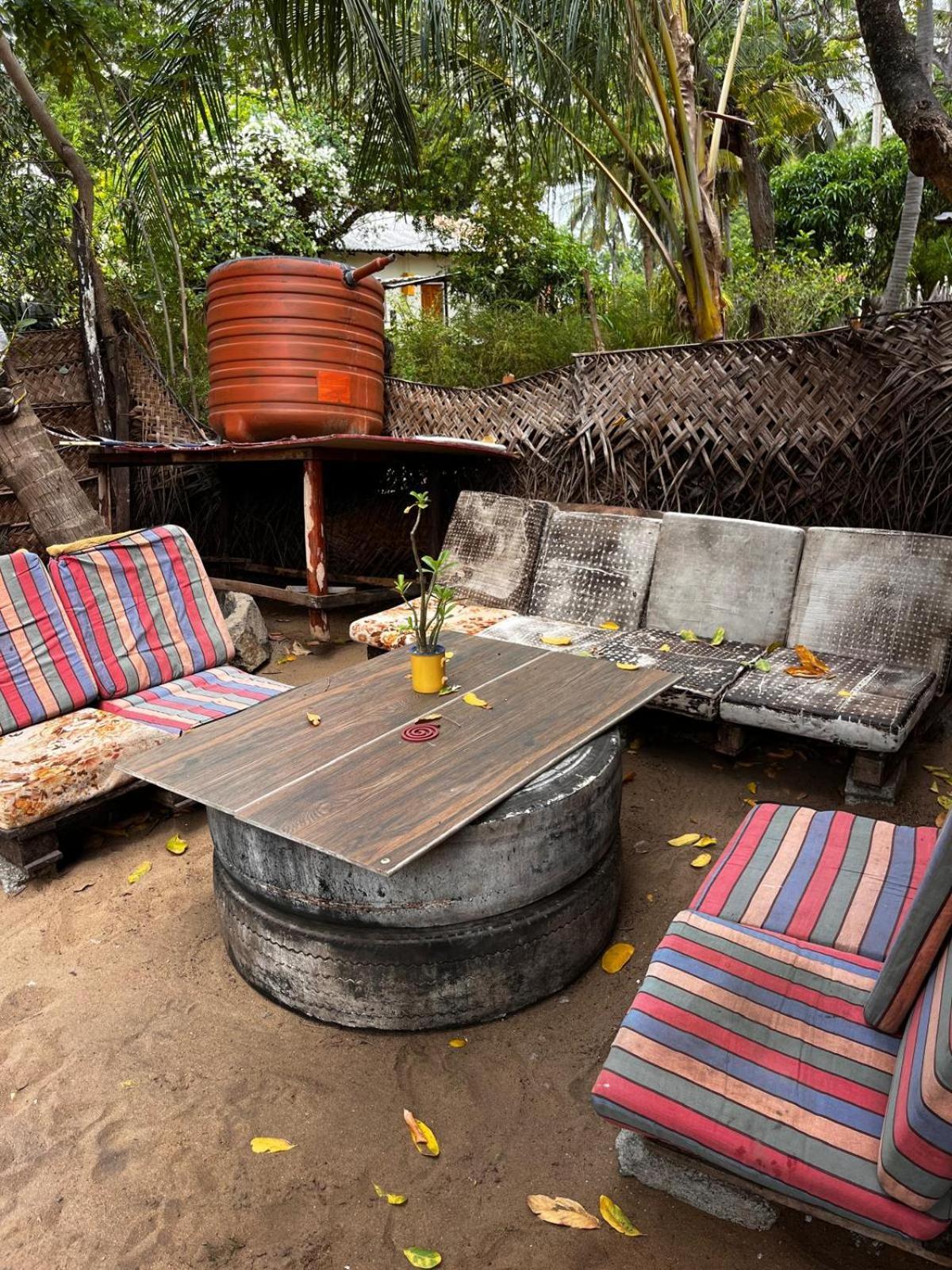 Surfing Lion Hostel Аругам Экстерьер фото