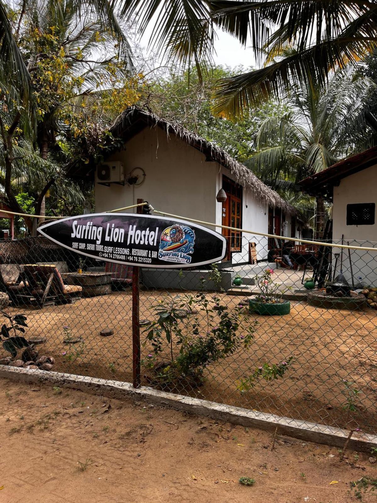 Surfing Lion Hostel Аругам Экстерьер фото
