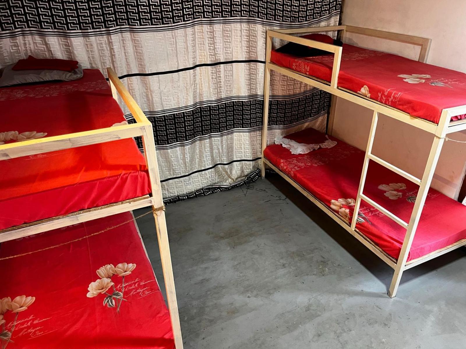 Surfing Lion Hostel Аругам Экстерьер фото