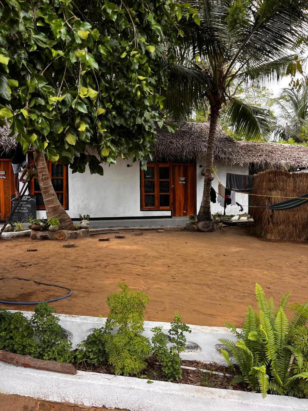 Surfing Lion Hostel Аругам Экстерьер фото