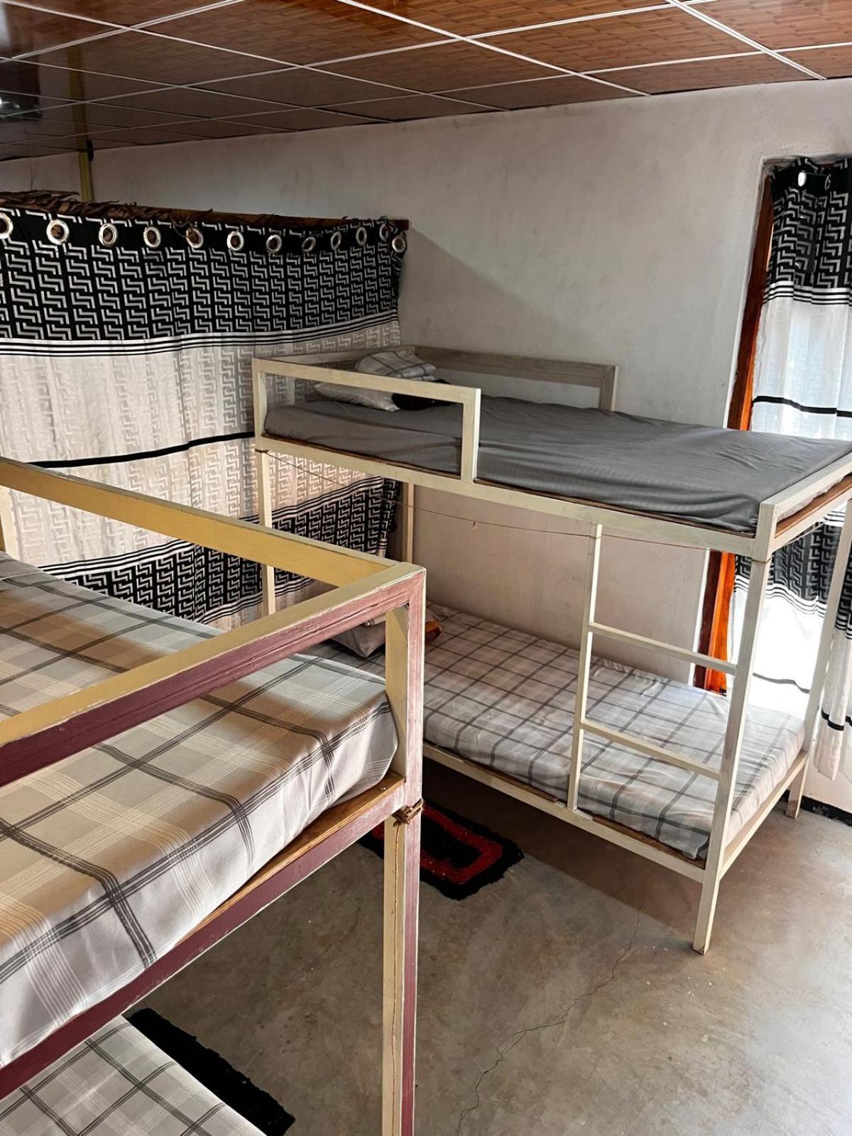 Surfing Lion Hostel Аругам Экстерьер фото