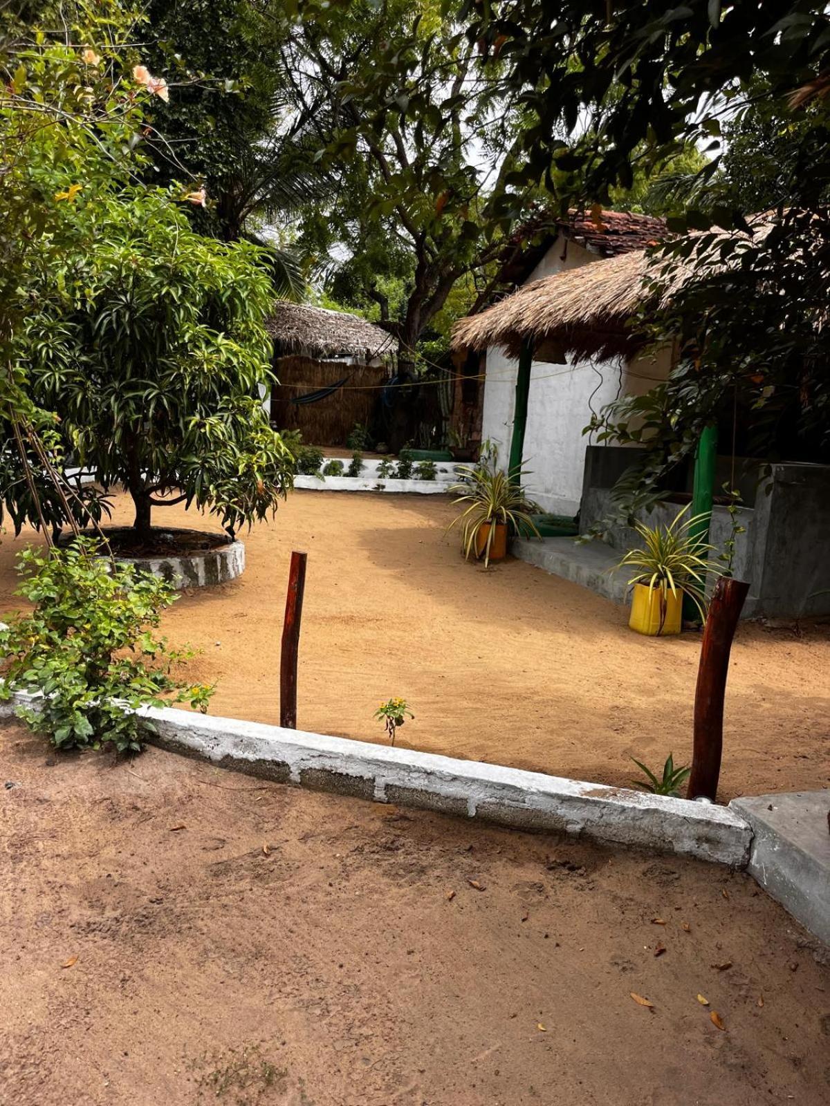 Surfing Lion Hostel Аругам Экстерьер фото