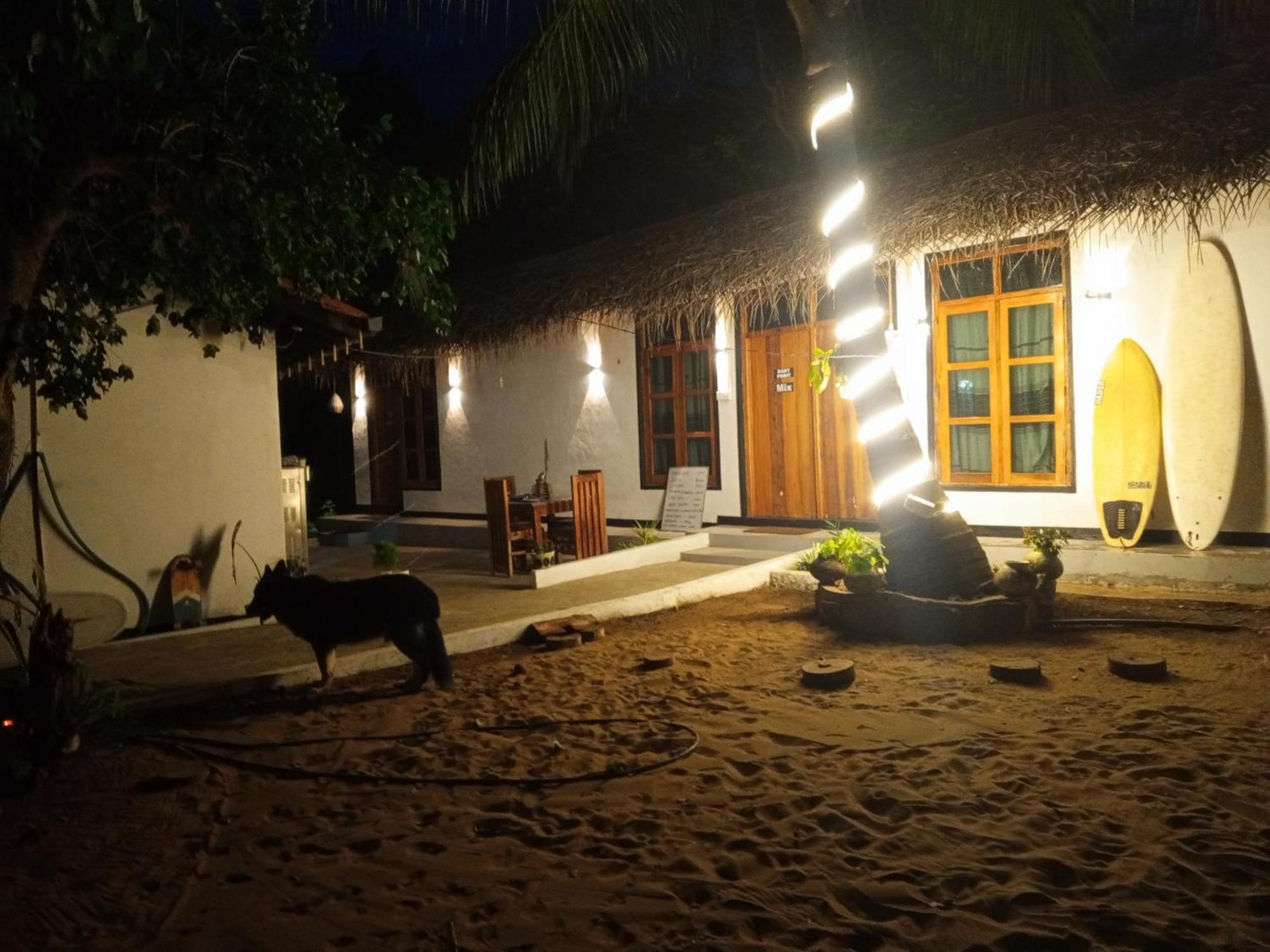 Surfing Lion Hostel Аругам Экстерьер фото