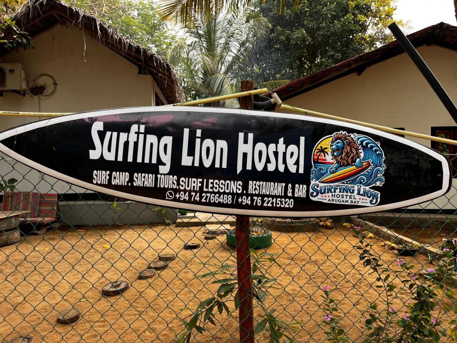 Surfing Lion Hostel Аругам Экстерьер фото