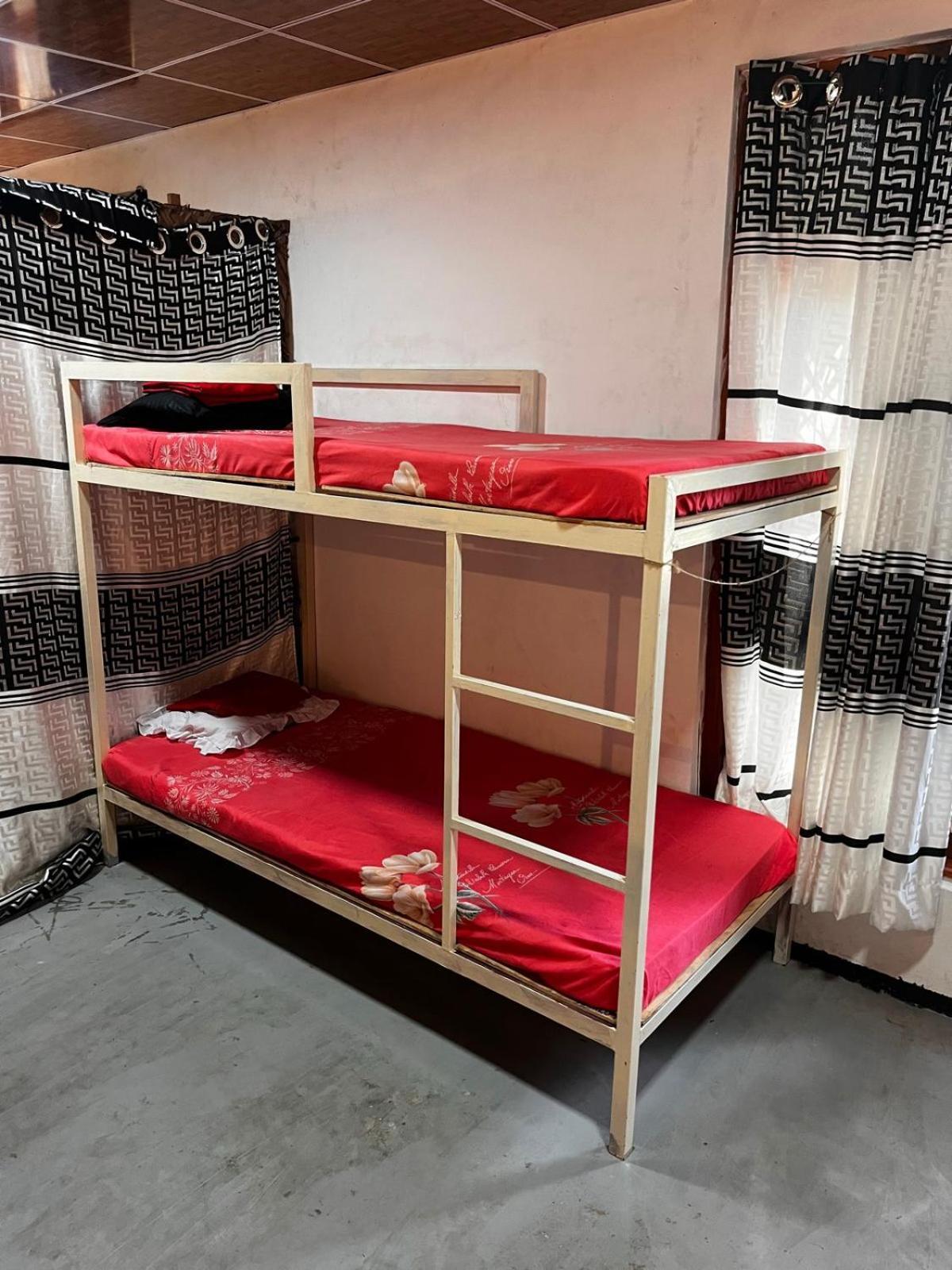 Surfing Lion Hostel Аругам Экстерьер фото
