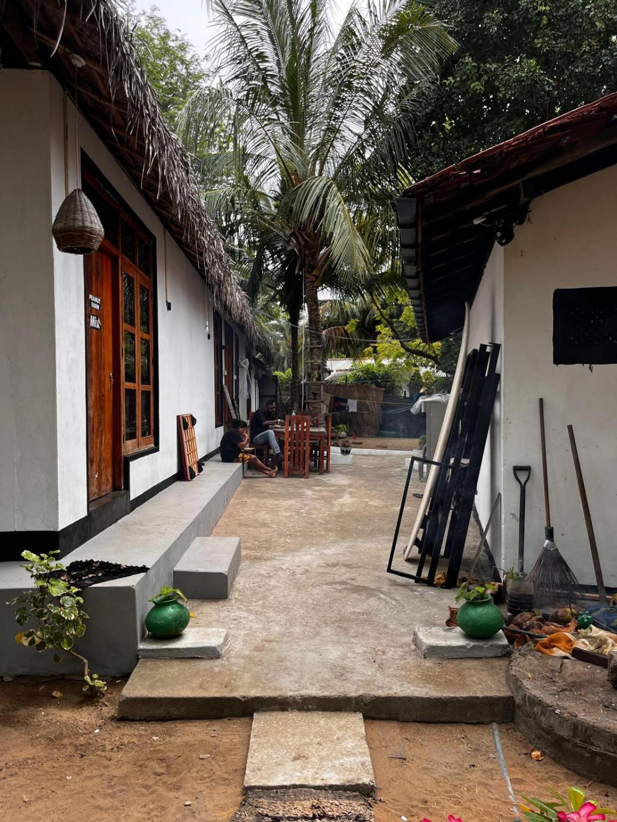 Surfing Lion Hostel Аругам Экстерьер фото