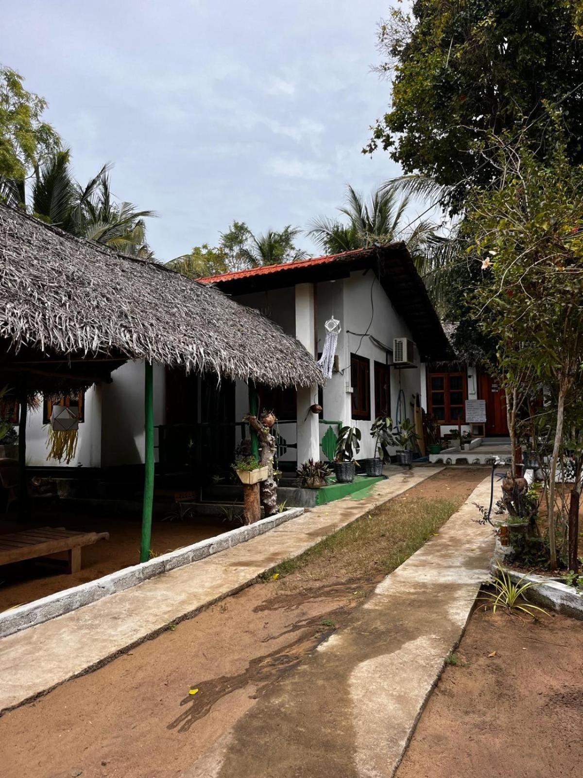 Surfing Lion Hostel Аругам Экстерьер фото