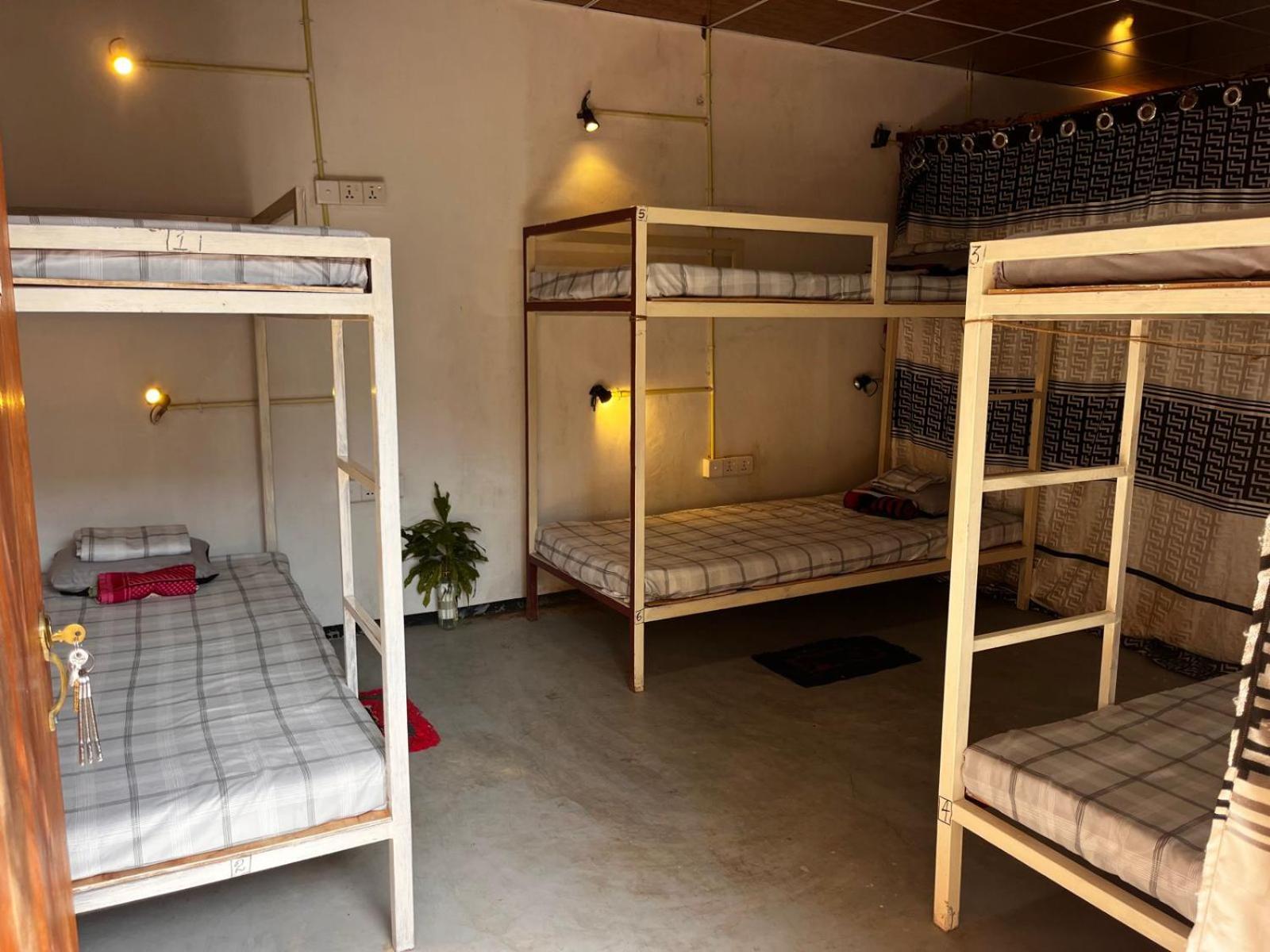 Surfing Lion Hostel Аругам Экстерьер фото