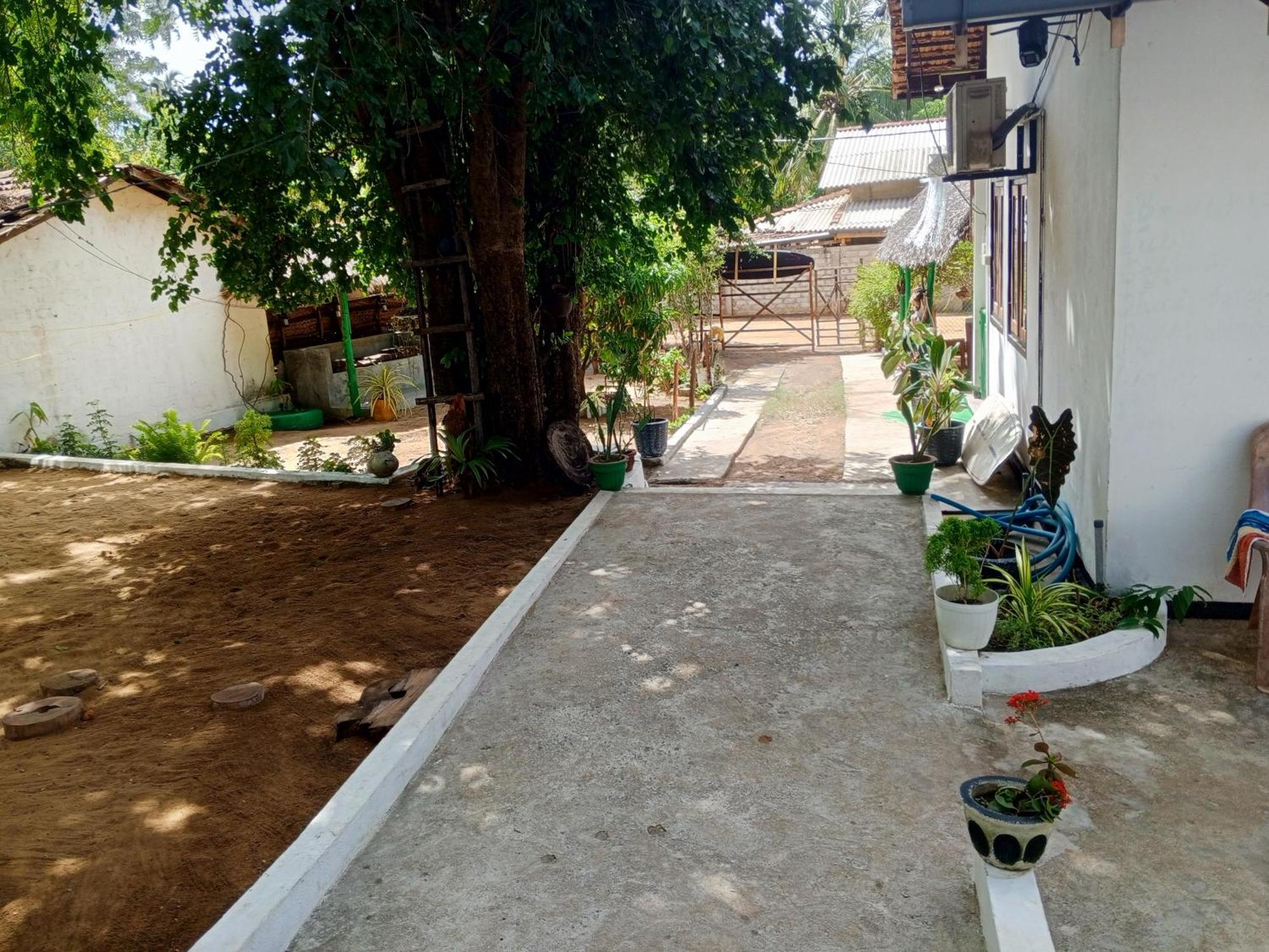 Surfing Lion Hostel Аругам Экстерьер фото