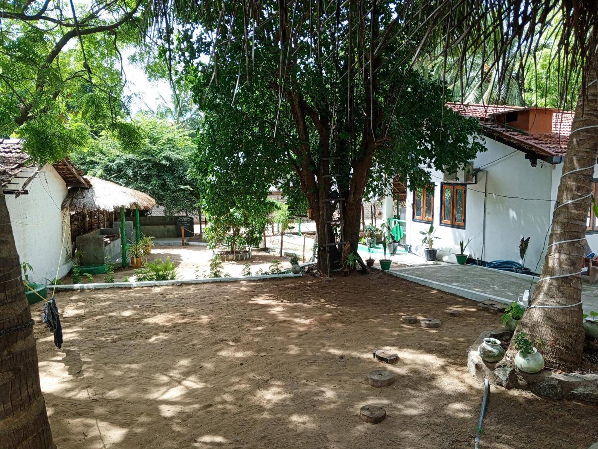 Surfing Lion Hostel Аругам Экстерьер фото